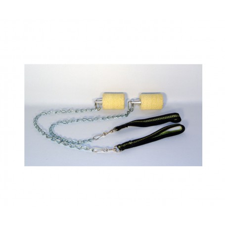 Bolas/poï de Feu HENRYS