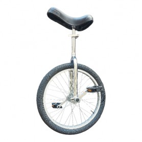 Monocycle 20"