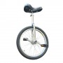 Monocycle 20"