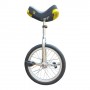 Monocycle 16"