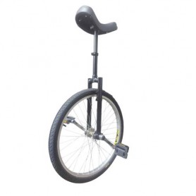 Monocycle 24" Custom