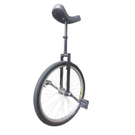 Monocycle 24" Custom