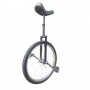 Monocycle 24" Custom