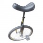 Monocycle 24" Custom