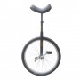 Monocycle 24" Custom