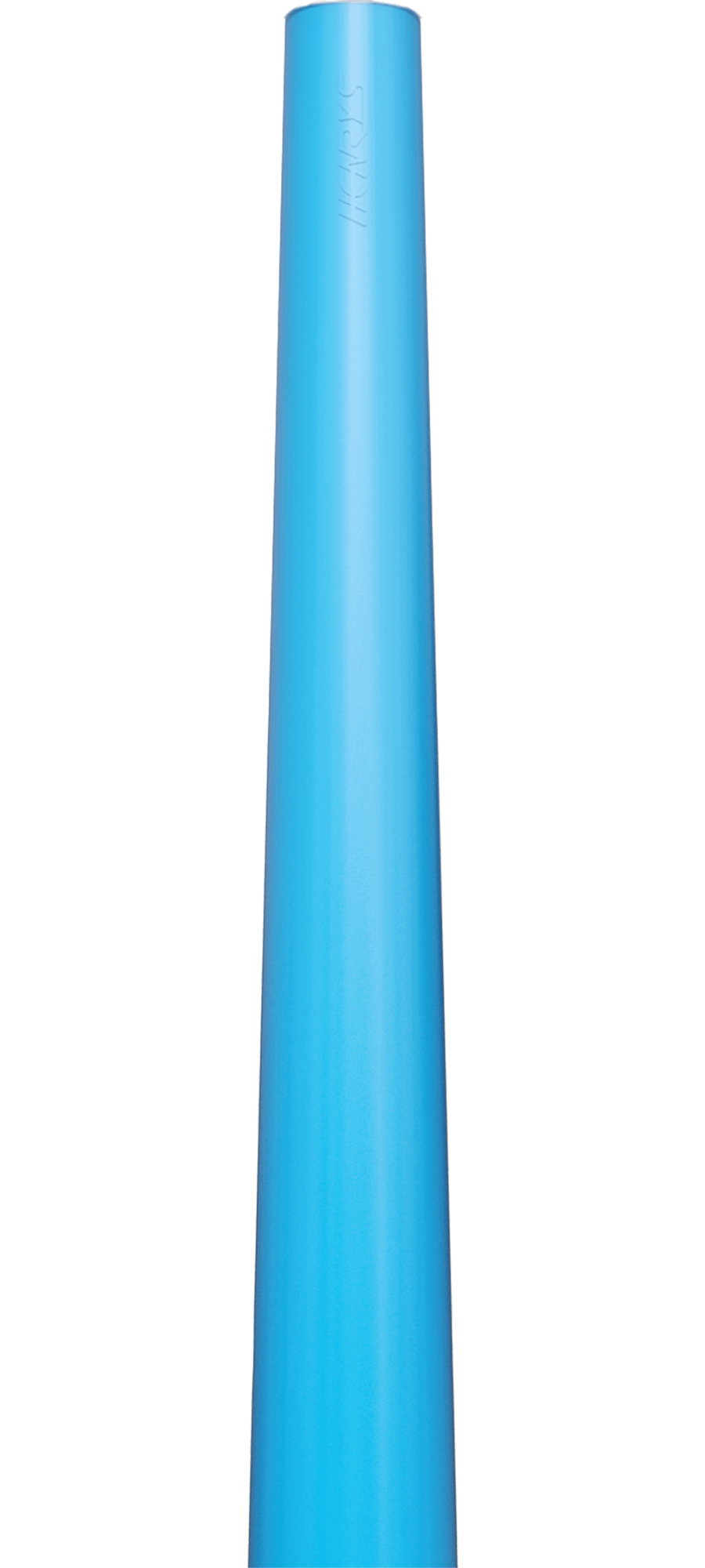 Delphin bleu