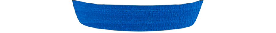 Standard bleu